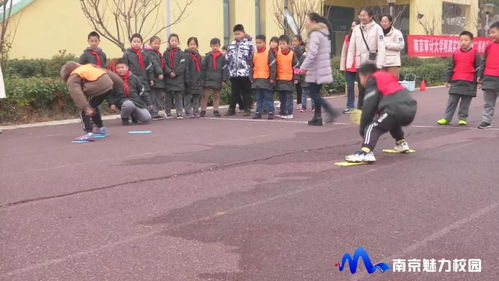 动态丨南京审计大学附属实验小学第二届秋季趣味运动会顺利举行