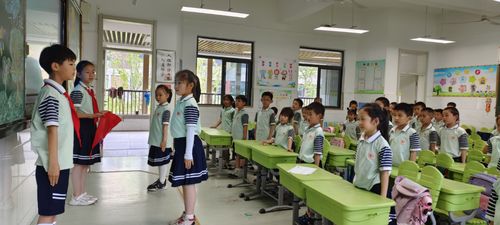 廉洁清风润童心 强国少年向未来 合肥市葛大店小学南校区新队员入队仪式