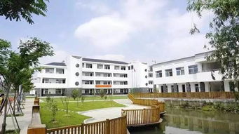 南京9所火爆的民办小学真适合你娃 我们搜集了历届家长口碑