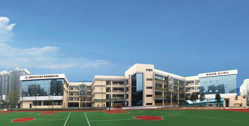成都市最好的五所小学,被誉为公办小学 五朵金花 ,家长必看