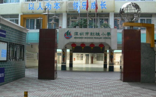 深圳市红桂小学