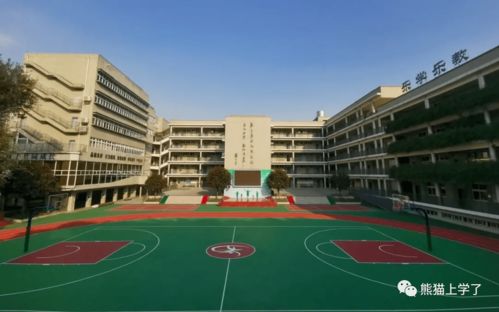 门面担当 成都市龙江路小学家族全盘点,哪所更具实力