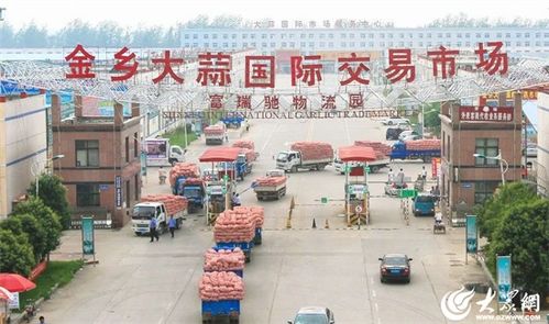 镇 兴路上的济宁 精心描绘乡村振兴 富春山居图