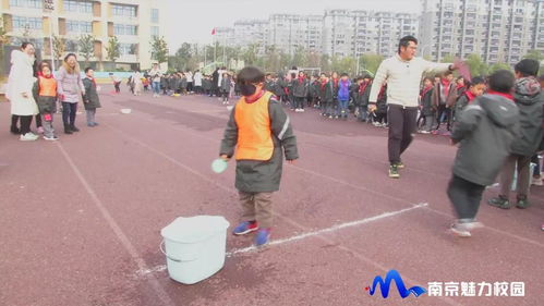 动态丨南京审计大学附属实验小学第二届秋季趣味运动会顺利举行