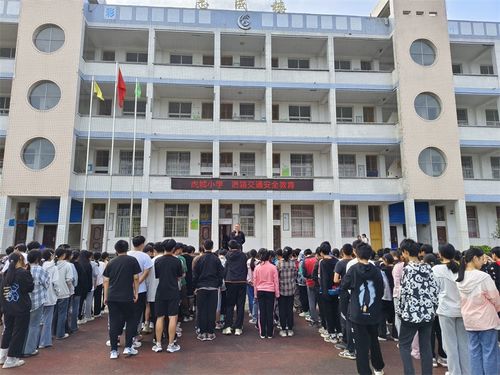 广安市前锋区虎城镇小学校开展道路交通安全教育活动