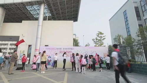 教育动态丨南京市江宁区禄口第二小学开展主题系列德育体验活动