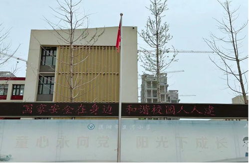 市卫河小学 守护国家安全 厚植爱国情怀