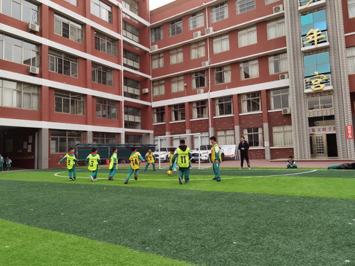 濮阳市子路小学2021年春季足球联赛开幕啦