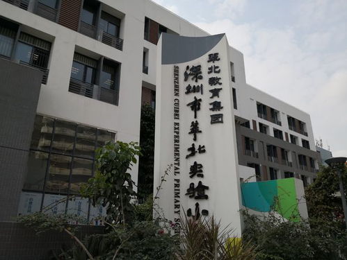 便利店 街边店吃得安全吗 去深圳罗湖这家学校周边看看吧
