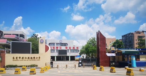 校园风光 东莞市人民政府门户网站